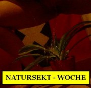 -DildoQueen- - > NaTuRsEkT - No.2