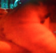 3lochfotze - Mit dem nachbar 2