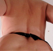 ANALRING - FR. 25. OKTOBER_2019....ANALRING = FOTZENSCHLAMPE UND ANALSCHLAMPE...BITTE ZUM PORNODREH MELDEN