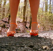 ANALRING - UPSKIRT OHNE SLIP....VOLLE 60O PORNOFANS....VOLLE 2.250 PORNOVIDEOS....VOLLE 19.OOO PORNOFOTOS.....