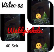 Aleksa81 - Waldpinkeln