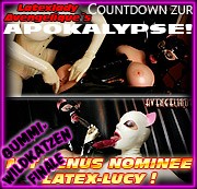 Avengelique - APOKALYPSE - TAG 9: Gummiwildkatzenfinale