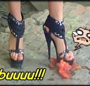 BabyTequila – Zerstörung von Tomate: P