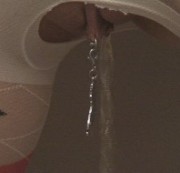 Balaton-Ficke - Piss Muschi