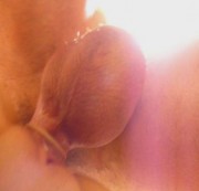 BenmitCam - Oster-Doggy-Fick-Sparfuchsfilm