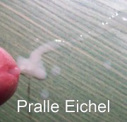 Bilschwein69 - Pralle Eichel
