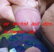 Bitomas-leipzig - ...ein Schwanz wichst auf tomas schwanz