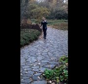 DIEDUNKLEMEL - DAS CAT IST SUPER