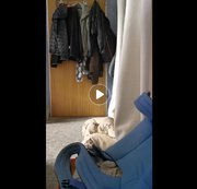 DarkShadow0405 – Geiler toy orgasmus bis der saft läuft