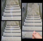 Dasjoerg – Im Parkhaus die Treppe vollgepinkelt