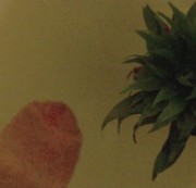 Dergeilespritze43 - Ich Habe Meine Pflanze Zu Erst Angewichst Und Dann Angepisst