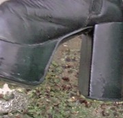 Engel80-und-Bengel78 - Weintrauben gematscht