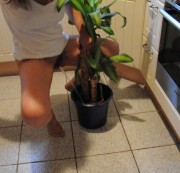 Feuchtegeheimnisse - Die Yukka Mit Pisse giessen