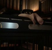 FinDomLadyStefanie - Füsse im Bett 4 - Igno Clip