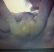 GeileDrecksau8088 - Muschi läuft aus :)