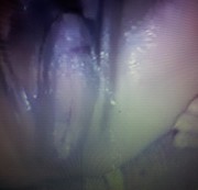 GeileXenia - Auf der Alm Hütte hart gefickt und abgepritzt!