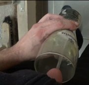 Greggibond - 6x Weizenglas mit 0.5l Pisse für Kollegin