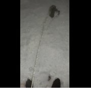Greggibond - in den Schnee gepisst Teil 2
