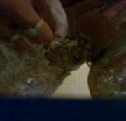 Hot-Jenny2009 - Geile Muschi beim Rasieren