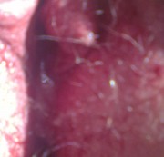 Kanes5 - Blasen und ficken wären sie ihre tage hat