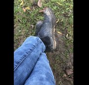 Lady-Melinda - Leck meine Reitstiefel sauber
