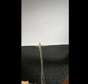 LadyRoxxy – Schlafzimmer Wand