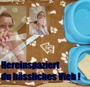 LeckerePerle - Willkommen zu Hause