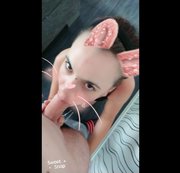 Lovewish – Blasehase greift an