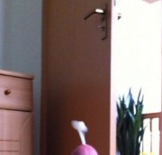 Luxus-Alex - Geiler Spritzer