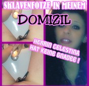 MINI-LUXUSPAKET – SKLAVENFOTZE IN MEINEM DOMIZIL !
