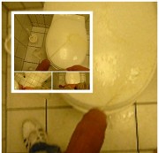 MasterDragonlord - Schwanz raus+rumgesaut im Krh.klo