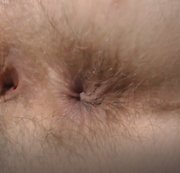 Miodelka - Fingering my hairy asshole