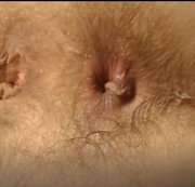 Miodelka - 2 fingers in my hairy  ass and spank asshole hard