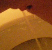 MissAlisa - Natursekt Video *Für Frank*