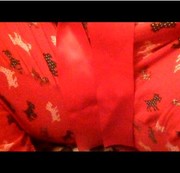 MissJen – constant farting