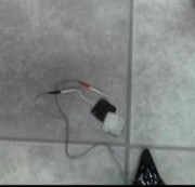 MistressJana – Elektroden am Sklavenschwanz