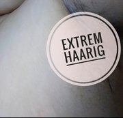 MolligeKleineSie83 - Extrem Haarig