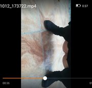 Mystery-Ink - Auf Nachbars-Terrasse gepisst