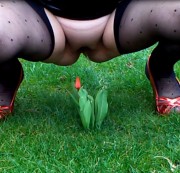 NS-4you - Tulpe mit NS begossen