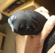 Newcummer-2018 – In ihre geilen Nylonstrümpfe abgespritzt, die sie die ganze Nacht auf der Party getragen hat
