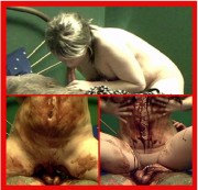 NickyCavalli - Was für eine verfickte Sauerei ;)