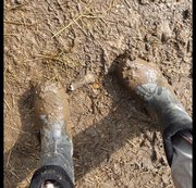 RidingPrincess – Userwunsch mit Gummistiefeln im Schlamm stecken bleiben