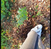 RidingPrincess - Die Sportschuhe von Exfreundin und Reitfreundin eingesaut