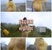 SEX4ALL – Sturm erprobt