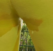 SexgeluesteSB - Userwunsch - Schön in Leggins gepisst