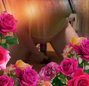SophieSecret – Enge Muschi und riesen dicker Dildo REITEN!!!