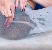 SquirtLadyPlay - Squirting the best. Extreme orgasm