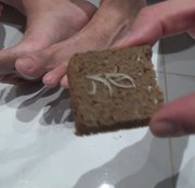 StrokeWithMe - Eat a sandwich of my nails, saliva and your sperm