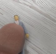 StrokeWithMe - The giant will crush you with his huge dick!!