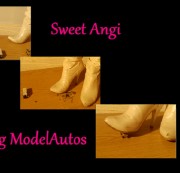 SweetAngi - Crushing Modelauto